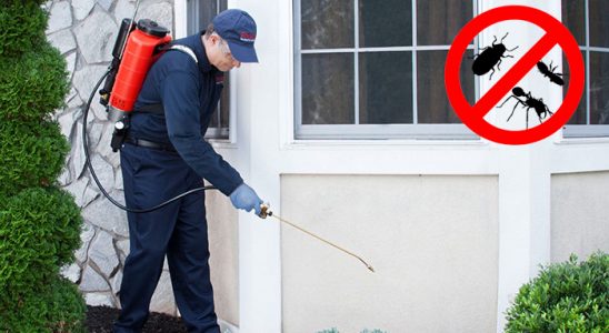 Pendik Karınca İlaçlama böcek ilaçlama ve haşere kontrolü — ilaclama-tr.com